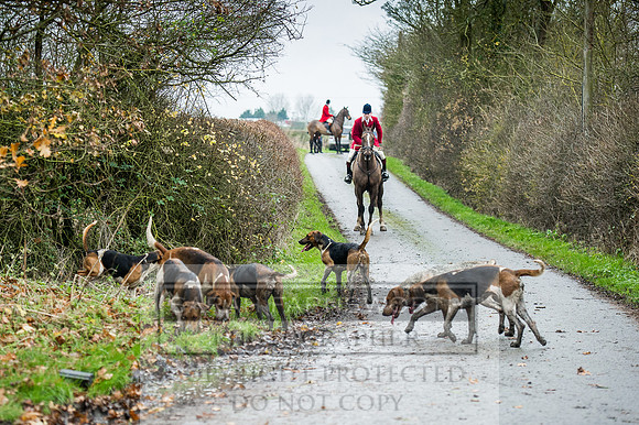 Holderness 031215-264