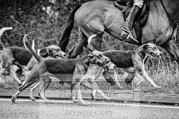 Holderness 031215-288 bw