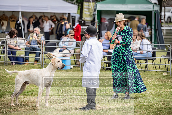 Builth Hound Show 2023-142