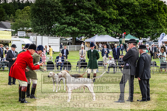 Builth Hound Show 2023-28