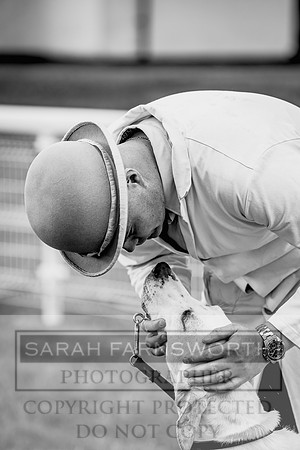 Builth Hound Show 2023-24