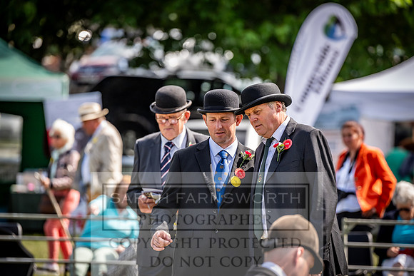 Builth Hound Show 2023-67