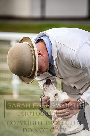 Builth Hound Show 2023-25