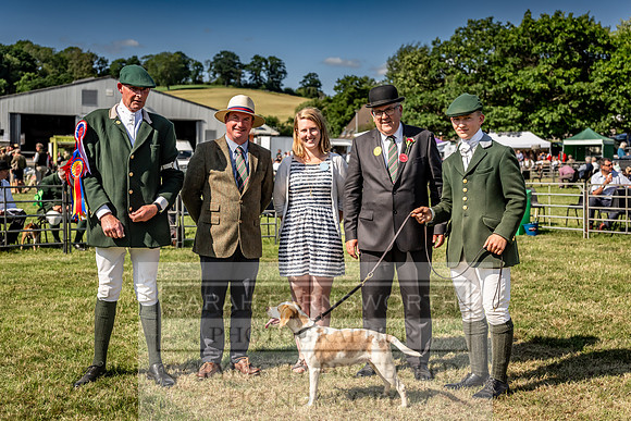 Builth Hound Show 2023-225