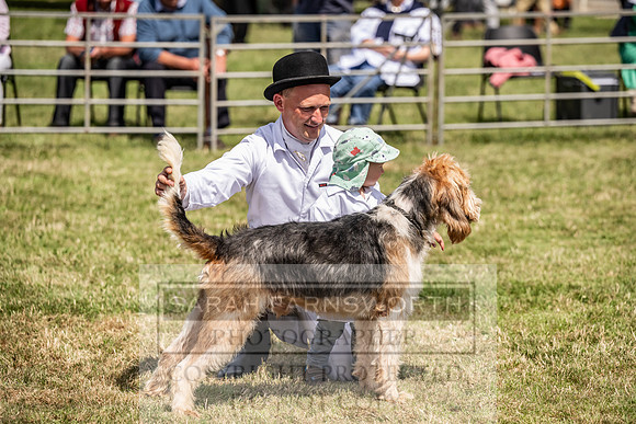 Builth Hound Show 2023-137
