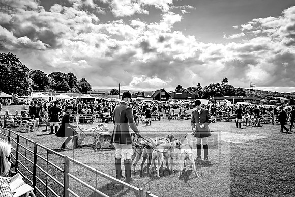 Builth Hound Show 2023-74