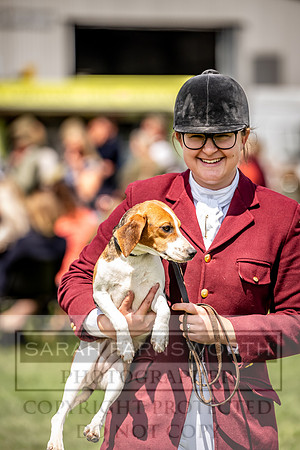Builth Hound Show 2023-163