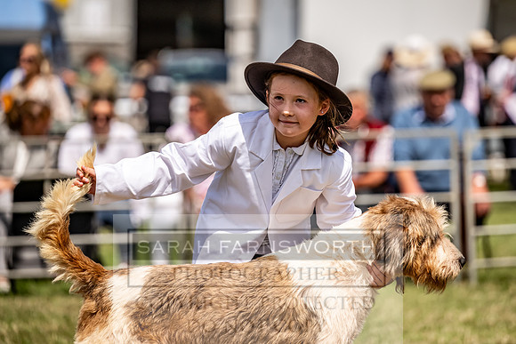 Builth Hound Show 2023-131