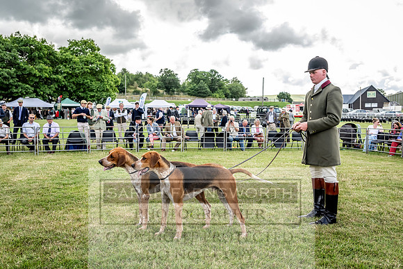 Builth Hound Show 2023-18