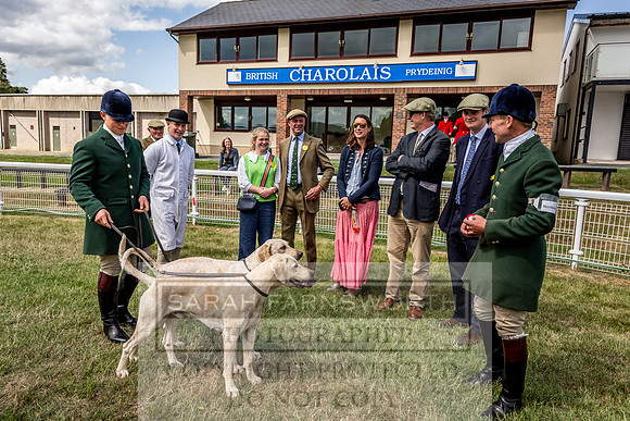 Builth Hound Show 2023-66