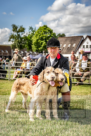 Builth Hound Show 2023-80