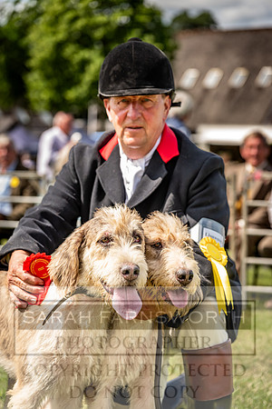 Builth Hound Show 2023-79