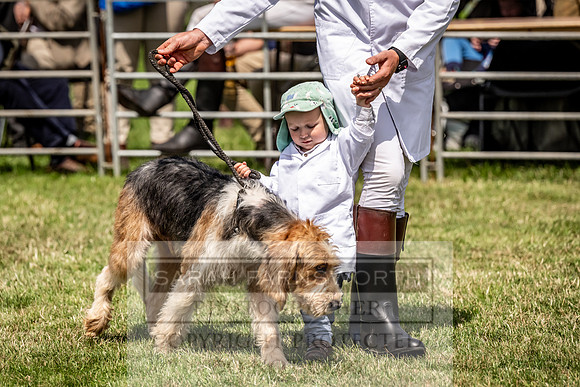 Builth Hound Show 2023-133