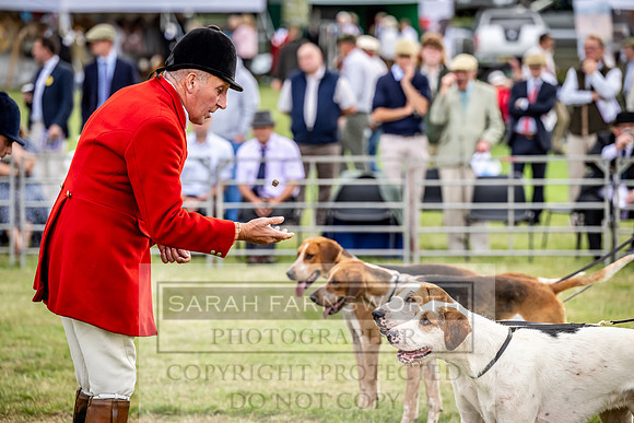 Builth Hound Show 2023-15
