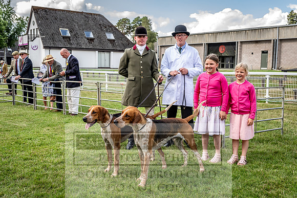 Builth Hound Show 2023-33