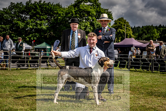 Builth Hound Show 2023-73