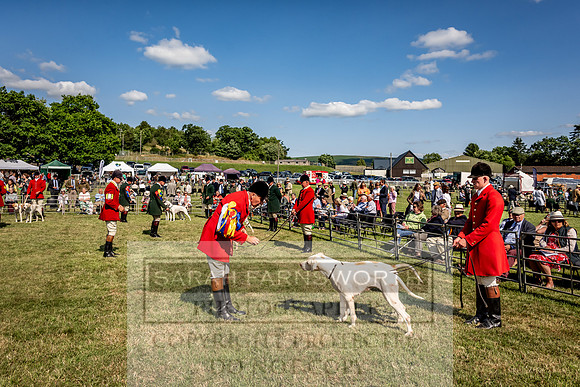 Builth Hound Show 2023-216