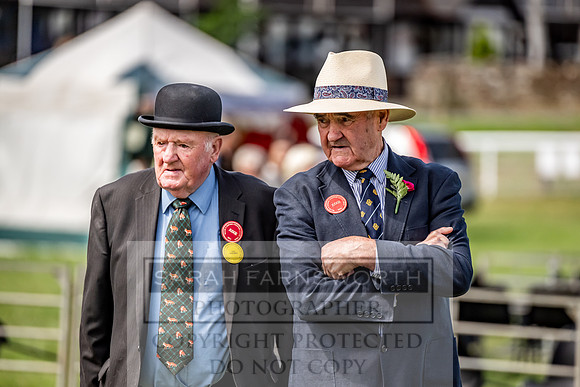 Builth Hound Show 2023-72