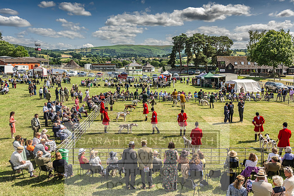 Builth Hound Show 2023-184