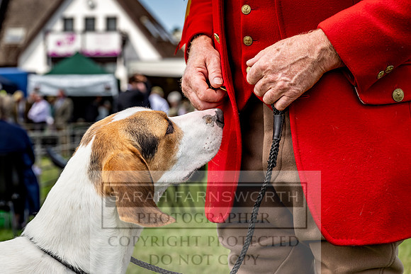 Builth Hound Show 2023-95