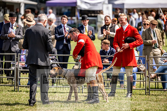 Builth Hound Show 2023-115