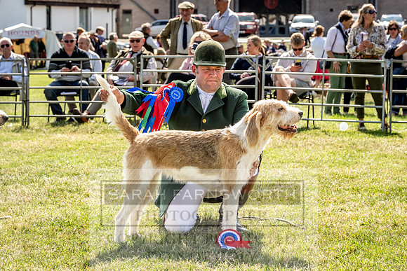 Builth Hound Show 2023-206