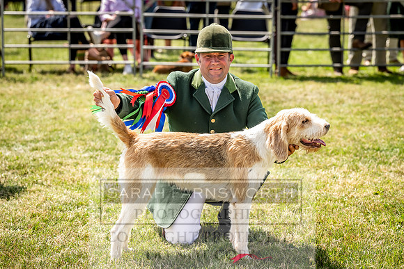 Builth Hound Show 2023-176
