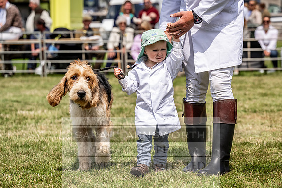 Builth Hound Show 2023-135