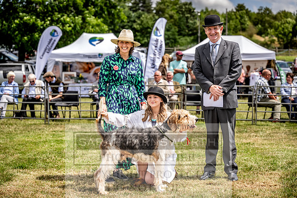 Builth Hound Show 2023-153