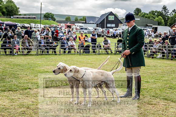 Builth Hound Show 2023-61