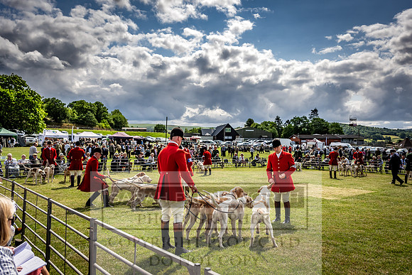 Builth Hound Show 2023-75