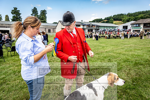 Builth Hound Show 2023-93