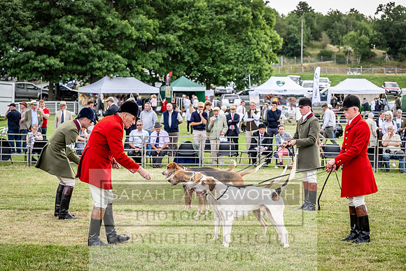 Builth Hound Show 2023-14