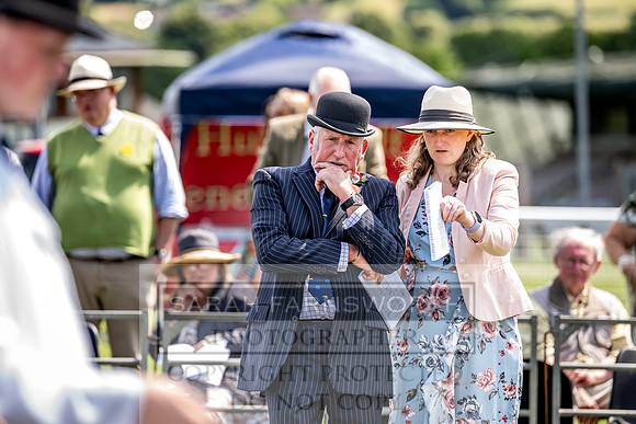 Builth Hound Show 2023-173