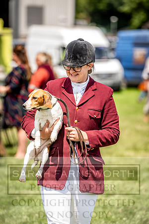 Builth Hound Show 2023-161