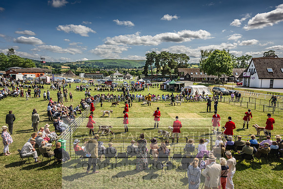 Builth Hound Show 2023-179