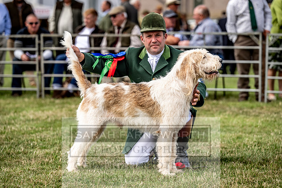 Builth Hound Show 2023-101