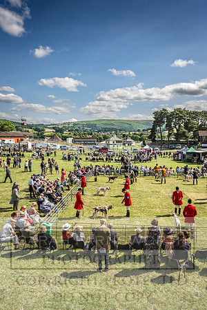 Builth Hound Show 2023-181