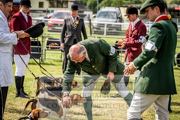 Builth Hound Show 2023-40
