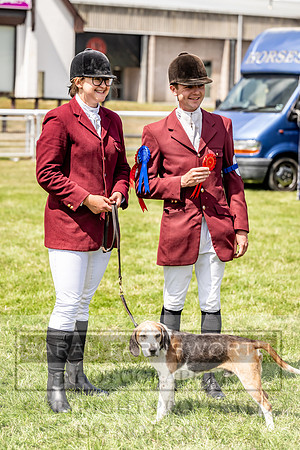 Builth Hound Show 2023-127
