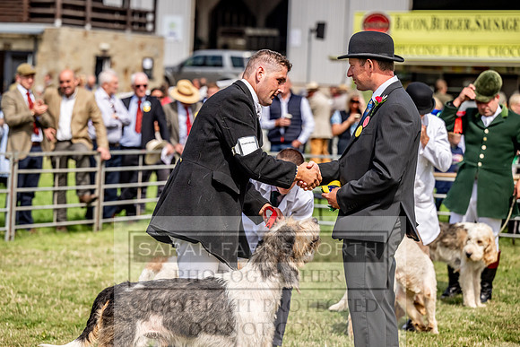 Builth Hound Show 2023-69