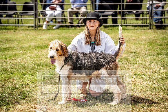 Builth Hound Show 2023-152