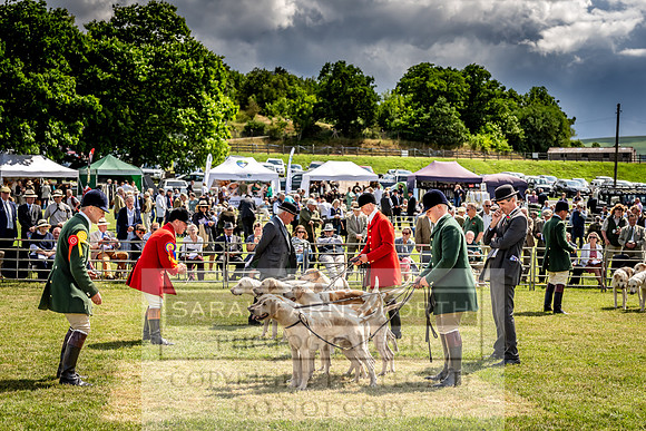 Builth Hound Show 2023-82