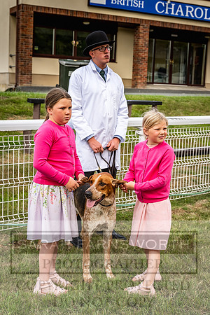 Builth Hound Show 2023-27