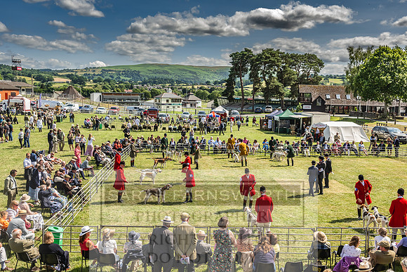 Builth Hound Show 2023-183