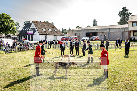 Builth Hound Show 2023-229