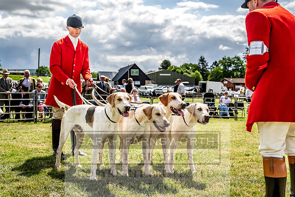 Builth Hound Show 2023-88