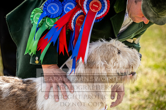 Builth Hound Show 2023-210