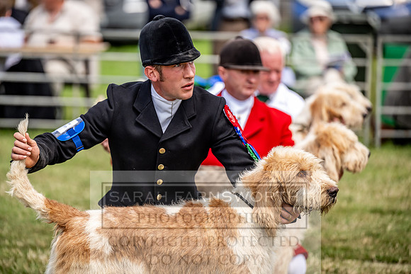 Builth Hound Show 2023-98