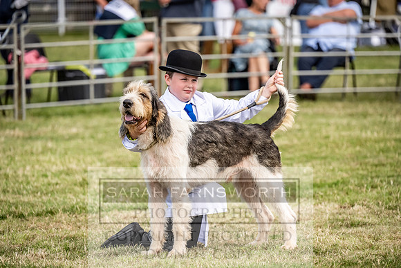Builth Hound Show 2023-130